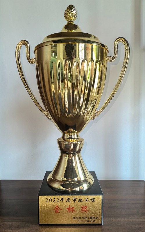 奖杯照片02.jpg